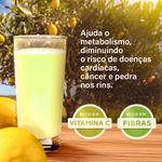 Suco-Limonada-Siciliana-Xando-300ml-s