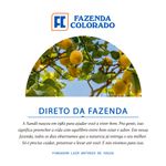 Suco-Limonada-Siciliana-Xando-300ml-s