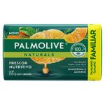Sabonete-em-Barra-Palmolive-Naturals-Frescor-Nutritivo-150g