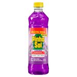 Desinfetante-Pinho-Sol-Lavanda-Leve-500ml-Pague-450ml