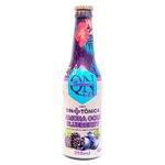 Gin-Tonica-QN-Botanics-Amora-e-Blueberry-355ml