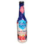 Gin-Tonica-QN-Botanics-Frutas-Vermelhas-355ml