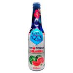 Gin-Tonica-QN-Botanics-Melancia-355ml