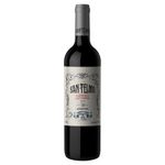 Vinho-Argentino-San-Telmo-Cabernet-Sauvignon-750ml