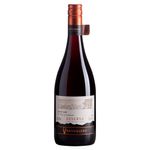 Vinho-Chileno-Ventisquero-Reserva-Pinot-Noir-750ml