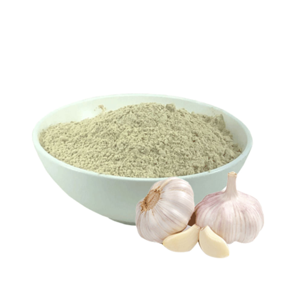 Alho em Pó Coop 100g