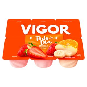 Bebida Fermentada Vigor Morango e Vitamina de Frutas Bandeja 510g