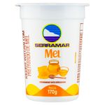 Iogurte-Serramar-Integral-Mel-170g