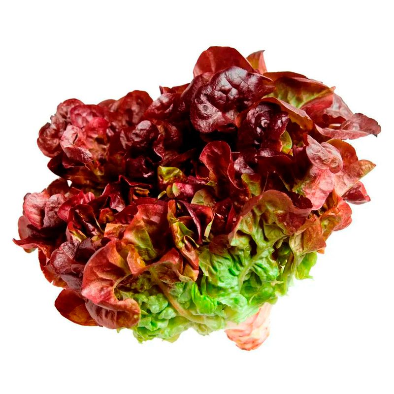 Alface-Roxa-Benassi-Organico-120g