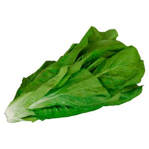 Escarola Benassi Orgânico 160g