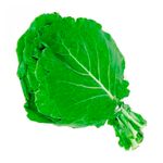 Couve-Manteiga-Benassi-Organico-150g
