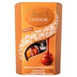 Bombom-Lindt-Sabores-Sortidos-75g