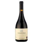 Vinho-Uruguaio-Montes-Toscanini-Criado-en-Roble-Blend-Tinto-2020-750ml