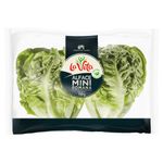 Alface-Romana-La-Vita-Mini-150g
