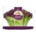 Salanova-Roxa-Crespa-La-Vita-Mini-100g