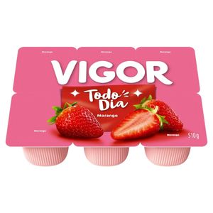 Bebida Láctea Fermentada Morango Vigor 510g
