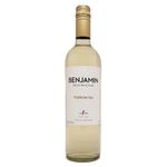 Vinho-Argentino-Benjamin-Nieto-Torrontes-750ml