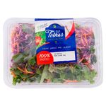 Mix-Vegetais-Villa-das-Folhas-Tropical-160g