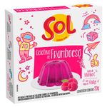 Gelatina-Sol-Framboesa-20g