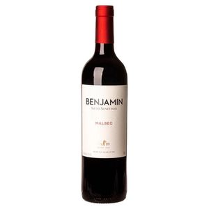 Vinho Argentino Benjamin Nieto Malbec 750ml