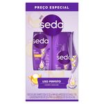 Kit-Seda-Liso-Perfeito-Shampoo-300ml--Condicionador-190ml