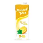 Cha-Verde-de-Abacaxi-e-Hortela-Natural-Tea-1-Litro