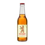 Cha-Mate-Baer-Mate-com-Gas-e-Cafeina-350ml
