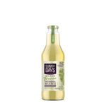 Suco-de-Uva-Branco-Integral-Sunny-Days-300ml