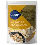 Cogumelo-Champignon-Coop-Fatiado-100g