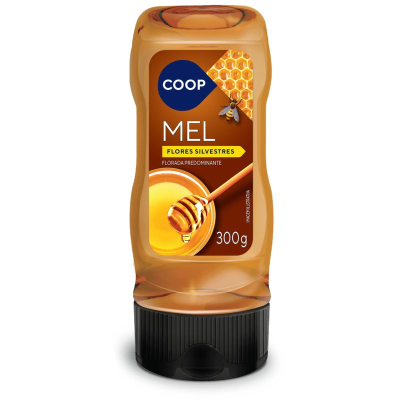 Mel-Coop-Tradicional-Bisnaga-300g