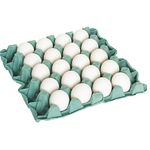 Ovo-Branco-Jumbo-Bastos--20-Unidades-