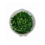 Salsa-Picada-Higienizado-Seiva-80g