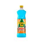 Desinfetante-Flor-De-Mandacaru-Pinho-Sol-1L