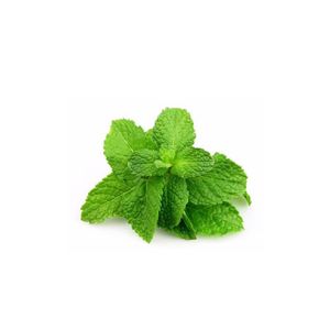 Hortelã Gourmet Higienizada Sítio Hiromi