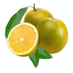 Laranja Pera 1Kg